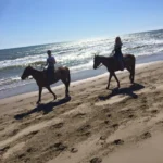 summer-ride.jpg.webp