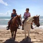 summer-ride2.jpg.webp